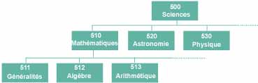 exemple d'arborescence